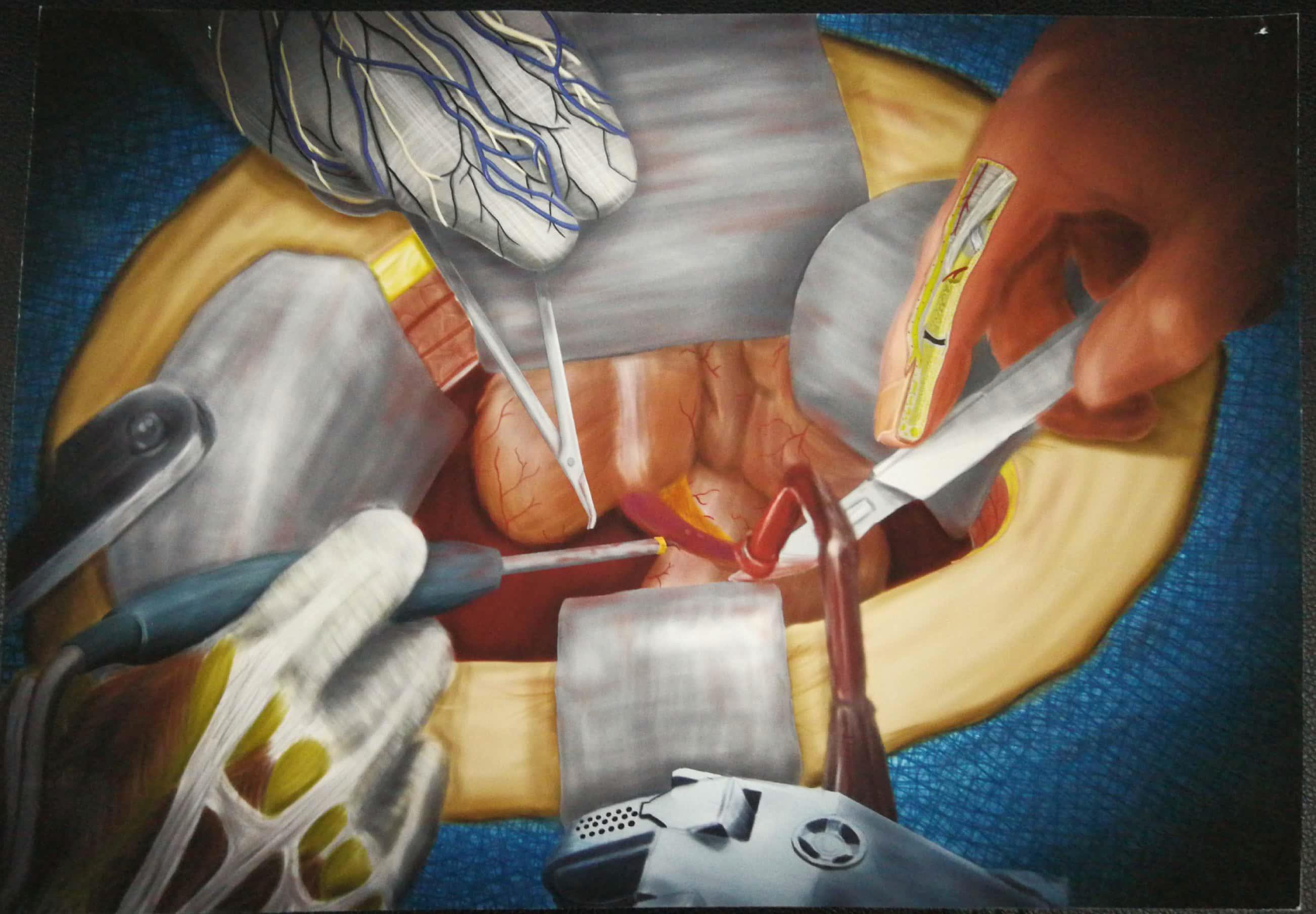 喜报:我校两幅作品在 日升恒隆杯第三届全国医学生解剖绘图大赛中获